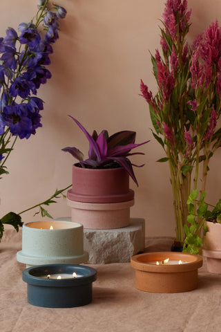 Paddywax - Folia in Fresh Fig & Cardamom