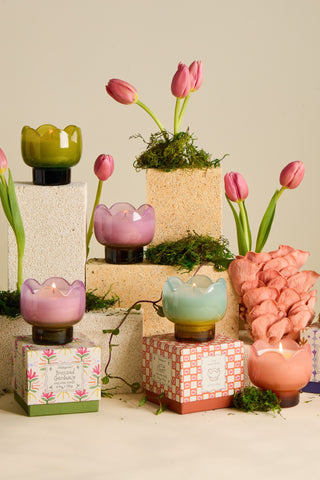 Tulip Collection