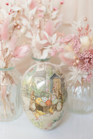 Peter Rabbit Opvulei V