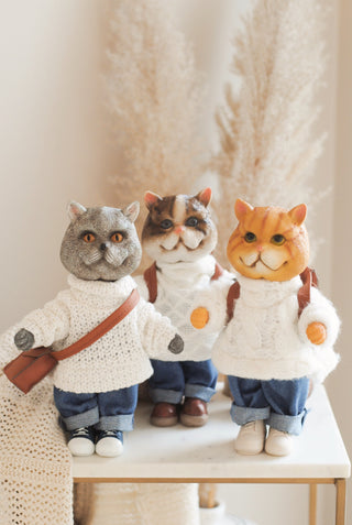 Cat in Sweater
