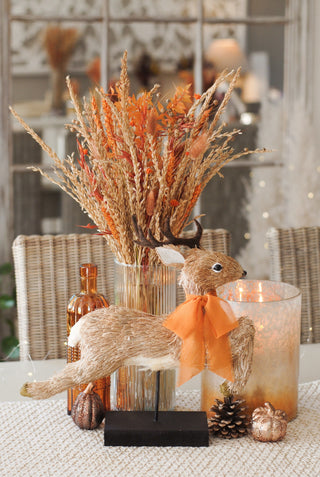 Autumn Windlight