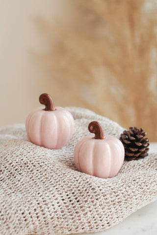 Pink Pumpkin Salt & Pepper Set