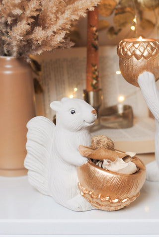 Sitting Small Squirrel
