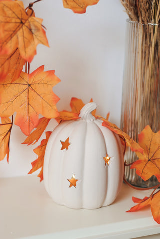 Terracotta Pumpkin with Stars - White