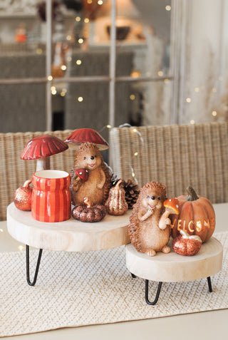Hedgehog with Orange Mushroom