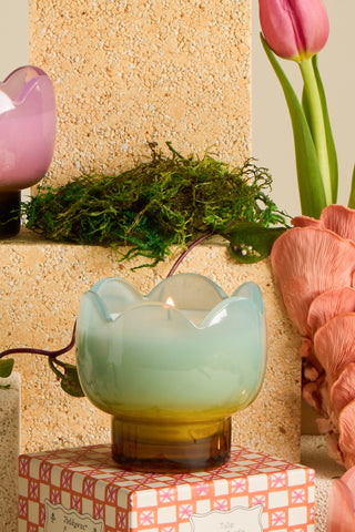 Paddywax - Tulip Glass Candle in Wisteria & Willow