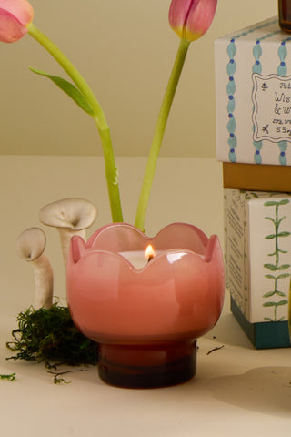 Paddywax - Tulip Glass Candle in Cactus Flower