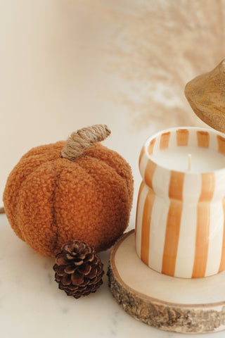 Fuzzy Orange Pumpkin