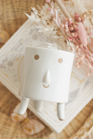 SWEET FACE PLANTER