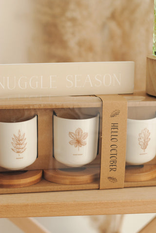 B&B Monthly Cosy Club: August Edition