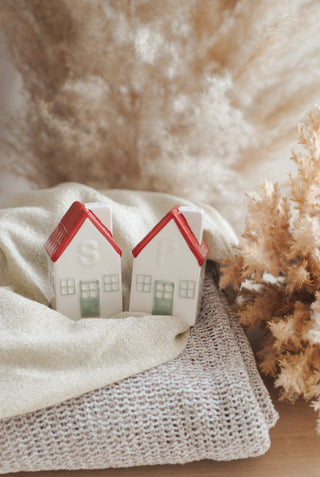 Houses Salt & Pepper Set