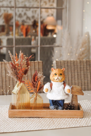 Cat in Sweater Orange