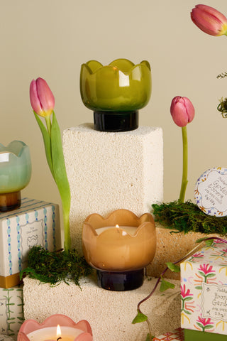 Paddywax - Tulip Glass Candle in Garden & Grove