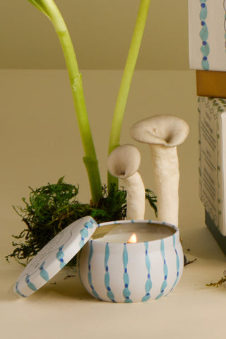 Paddywax - Tulip Tin Candle in Wisteria & Willow