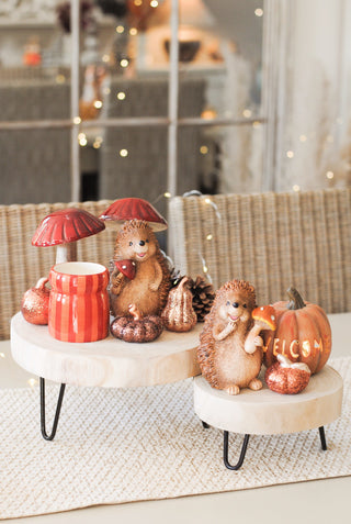 Welcome Pumpkin Orange Small