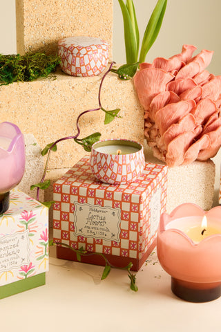 Paddywax - Tulip Tin Candle in Cactus Flower