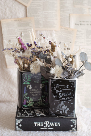 Library of Plants - Book Vase & Dried Flowers