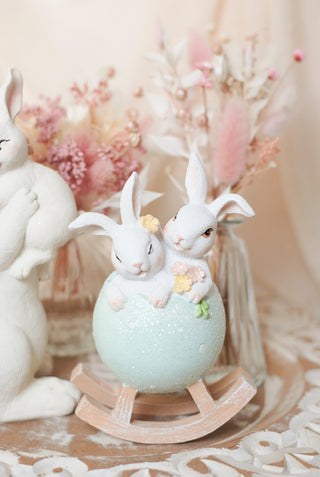Bunnies in Egg