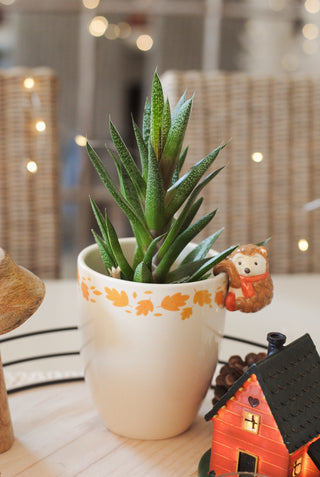 Autumn Planter with Hedgehog