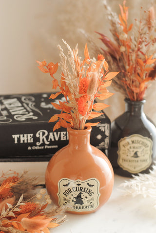 Dried Flowers Small II & Potion Bottle Vase