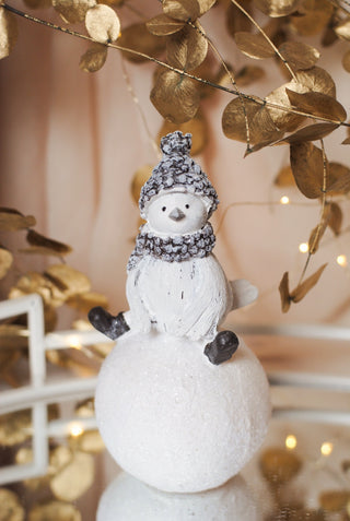 Birdie on Snowball w/ Light III