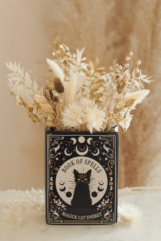 Cat Book Vase & Dried Flowers