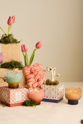 Paddywax - Tulip Glass Candle in Garden & Grove