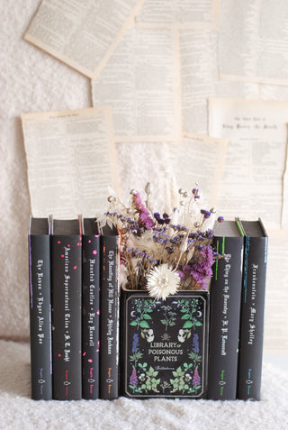 Library of Plants - Book Vase & Dried Flowers