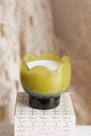 Paddywax - Tulip Glass Candle in Verbena & Lemongrass
