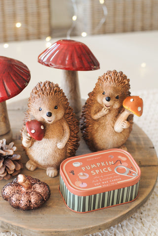 Hedgehog with Red Mushroom