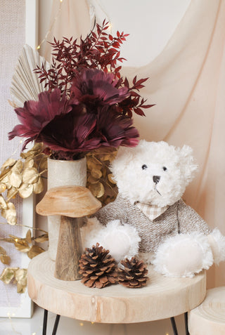Soft Bear with Sweater