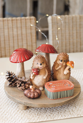 Hedgehog with Red Mushroom