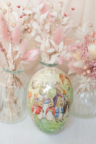 Peter Rabbit Opvulei I