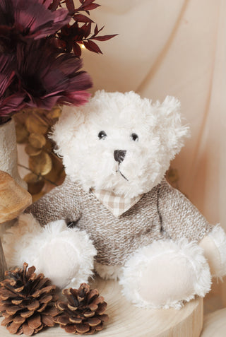 Soft Bear with Sweater