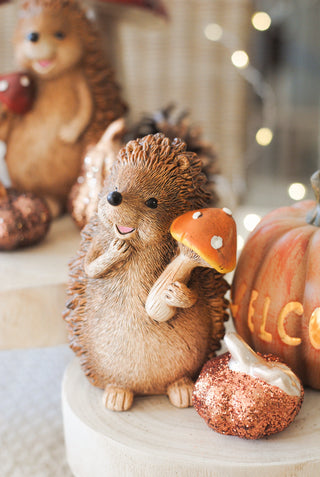 Hedgehog with Orange Mushroom