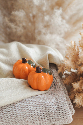 Pumpkin Salt & Pepper Set