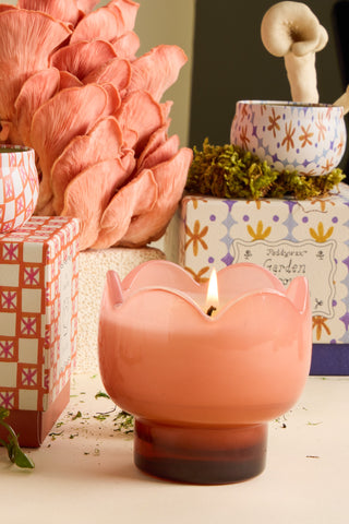 Paddywax - Tulip Glass Candle in Cactus Flower