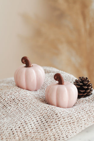 Pink Pumpkin Salt & Pepper Set