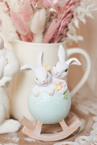Bunnies in Egg