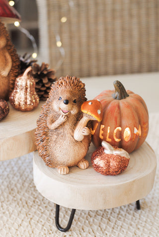 Welcome Pumpkin Orange Small