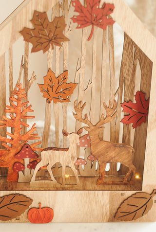 Autumn Woodland Scene with Light