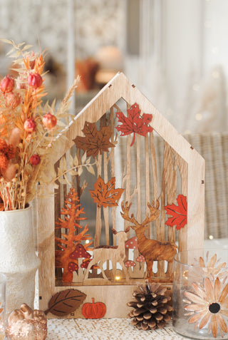 Autumn Woodland Scene with Light