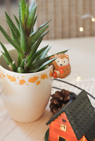 Autumn Planter with Hedgehog