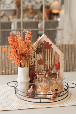 Autumn Woodland Scene with Light