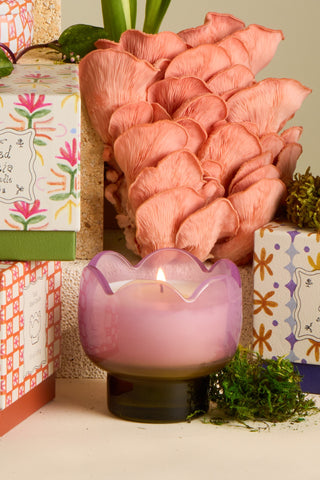 Paddywax - Tulip Glass Candle in Bronzed Gardenia