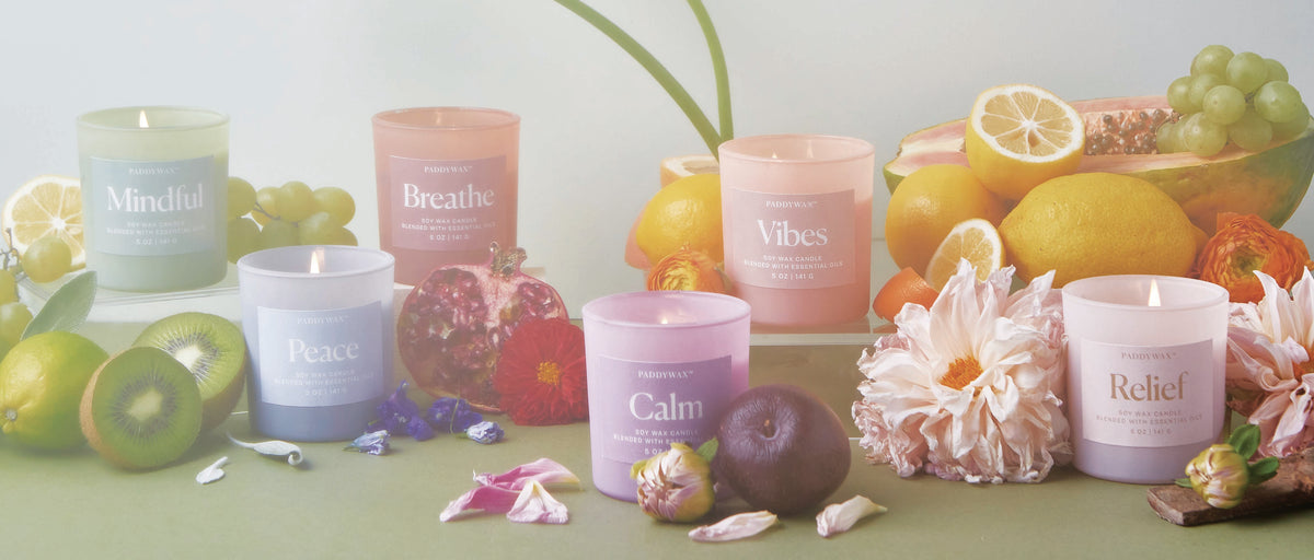 Wellness Collection – Beauty & Bobs