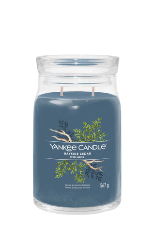 Yankee Candle - Bayside Cedar Signature Large Jar