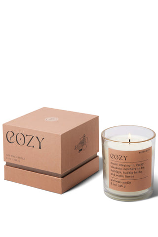 Paddywax - Mood in Cozy - Cashmere & French Orris