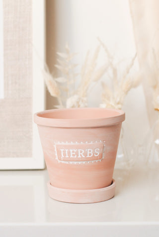 HERBS - TERRACOTTA PLANTER WITH SAUCER