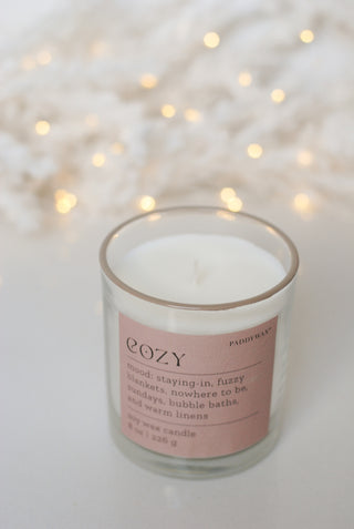 Paddywax - Mood in Cozy - Cashmere & French Orris